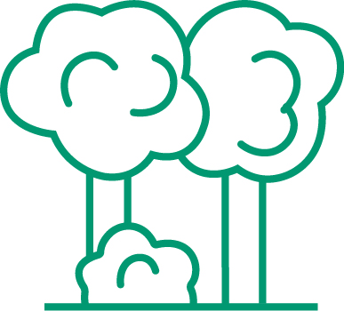 Grün- und Baumpflege Dieter Elbe GmbH