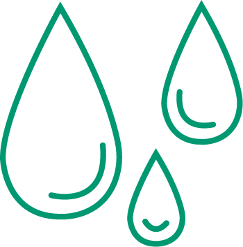 Teich- und Bewässerungsanlagen Dieter Elbe GmbH